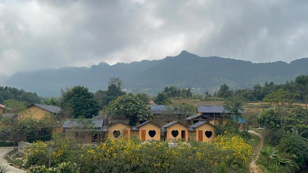 Photo of Others in Quan Ba