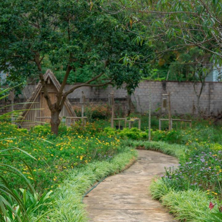 Photo of Others in Moc Chau