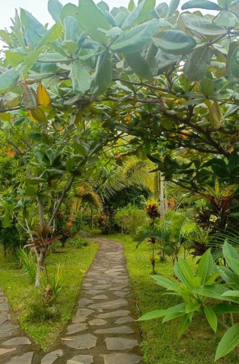 Photo of Outdoor in Bayan