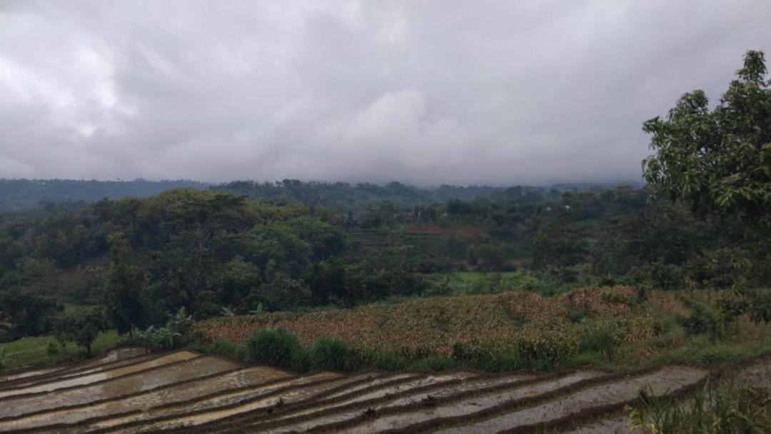 Photo of Others in Java