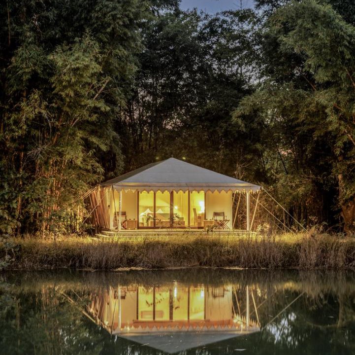 Photo of Others in Kanha