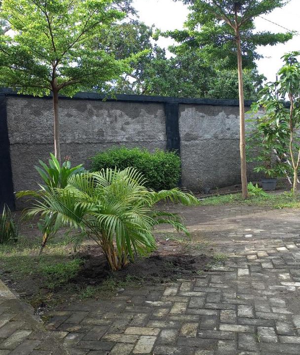 Photo of Outdoor in Parangtritis
