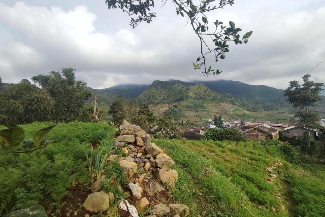 Photo of Others in Kejajar