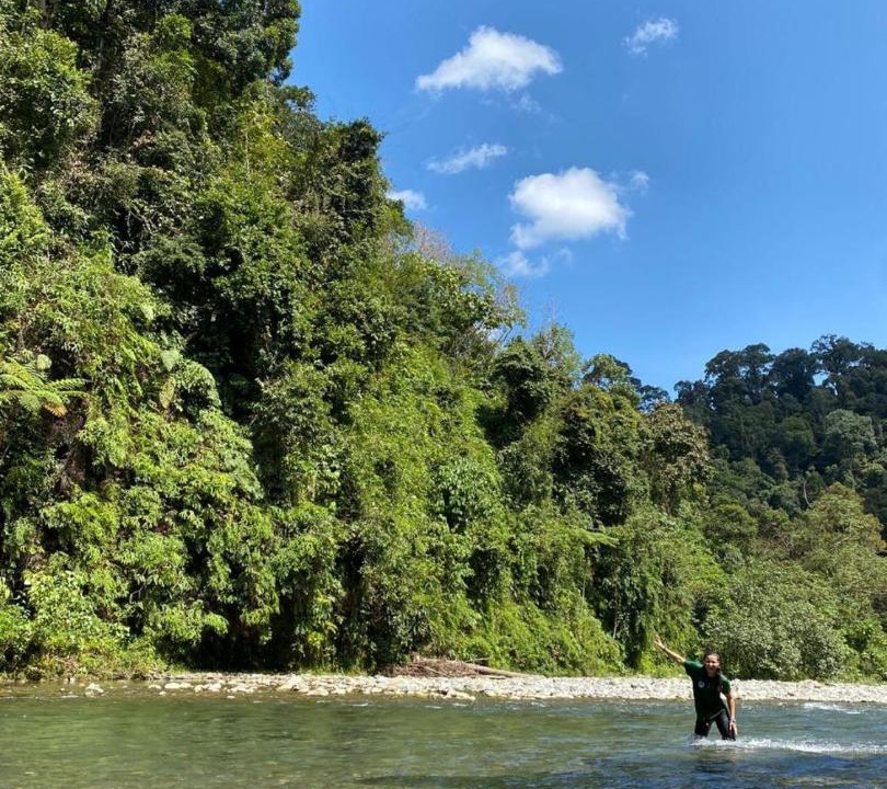 Photo of Others in Bukit Lawang