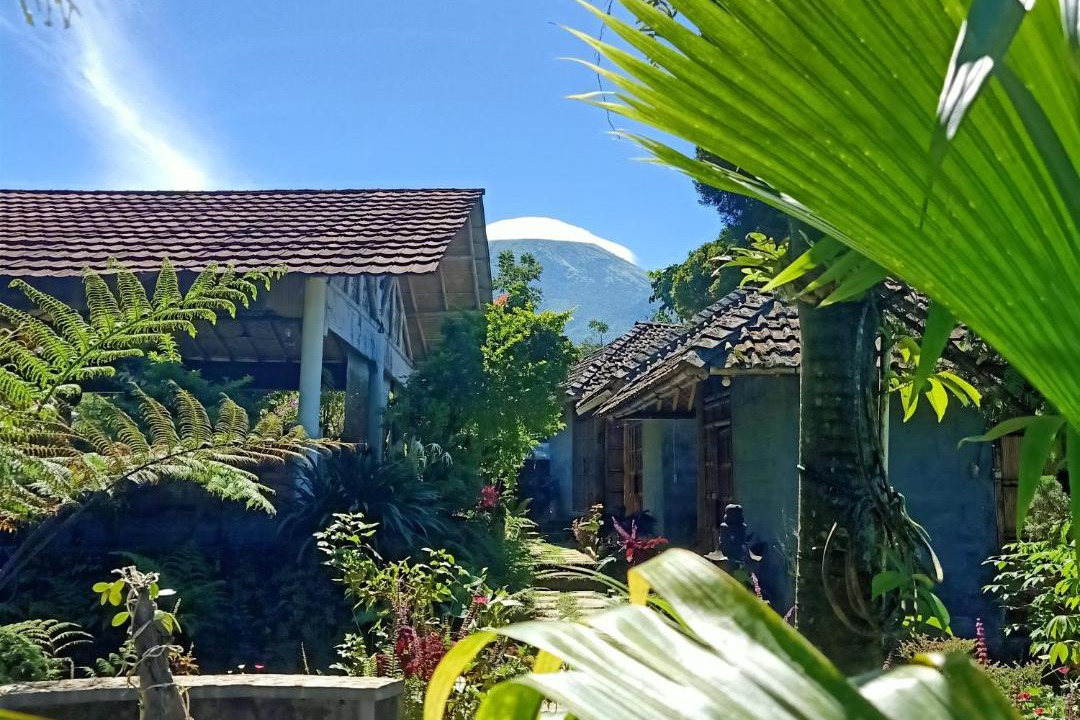 Photo of Others in Wonosobo
