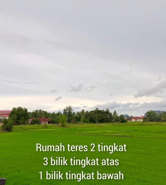 Photo of Outdoor in Kampung Padang Behor