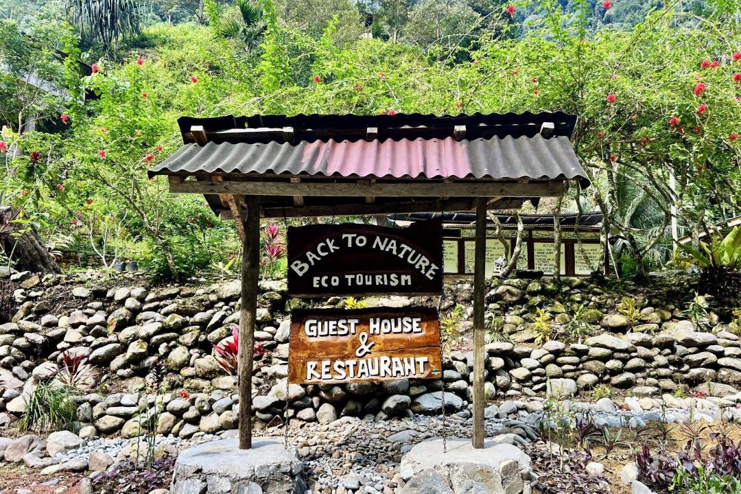 Photo of Others in Bukit Lawang