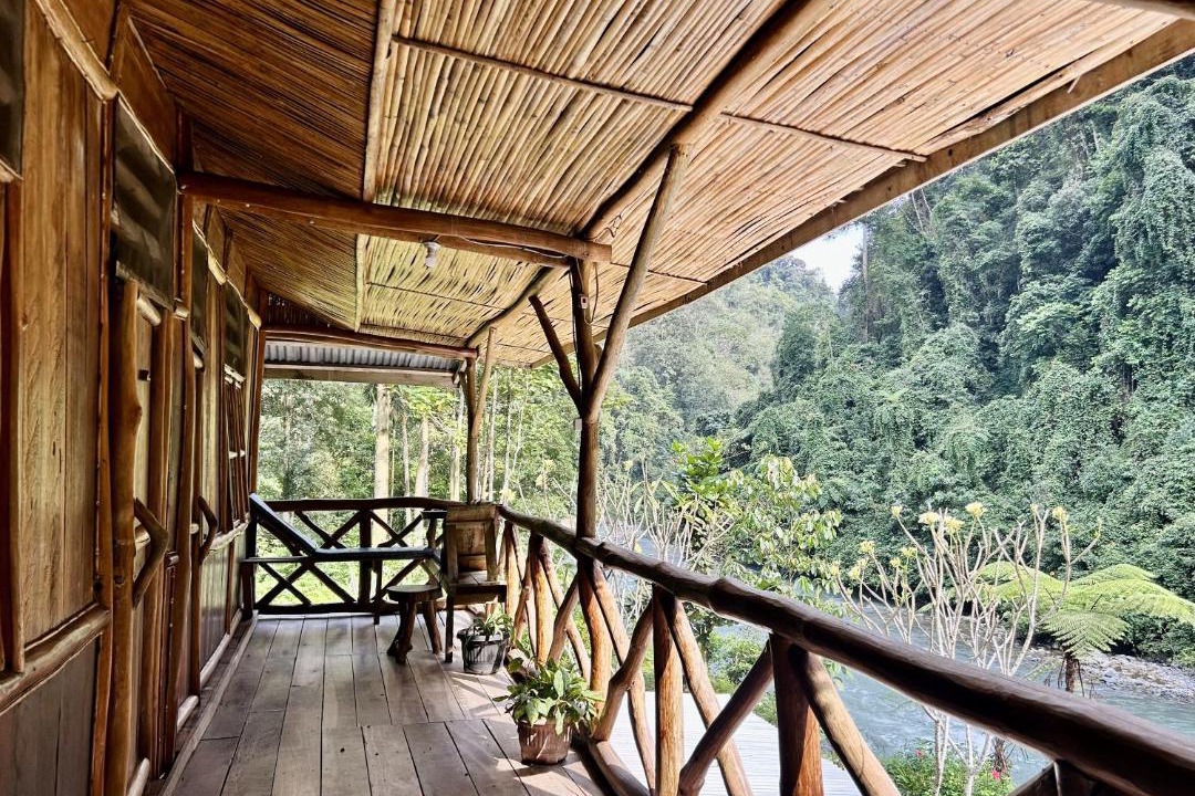 Photo of Others in Bukit Lawang