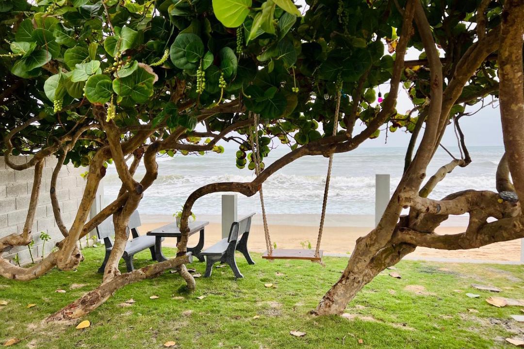 Photo of Others in Phan Thiet