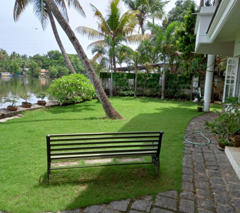 Photo of Others in Kochi