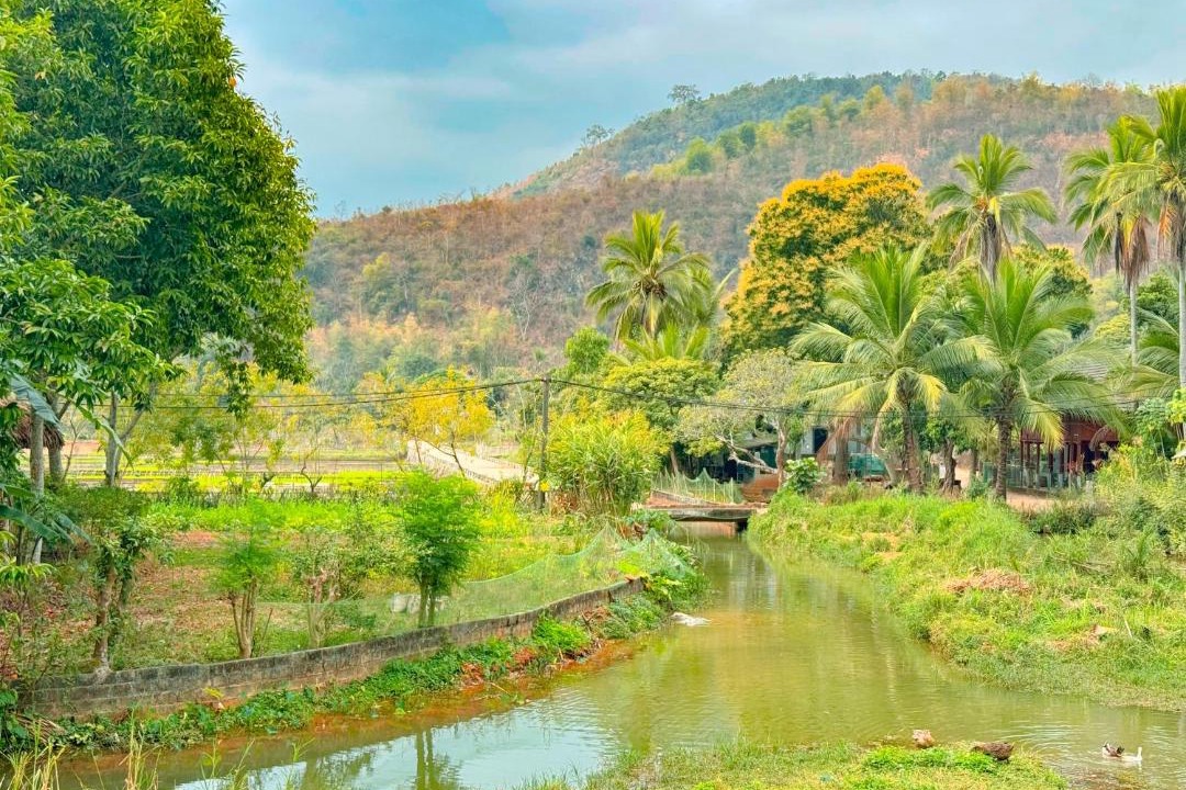 Photo of Others in Mai Chau