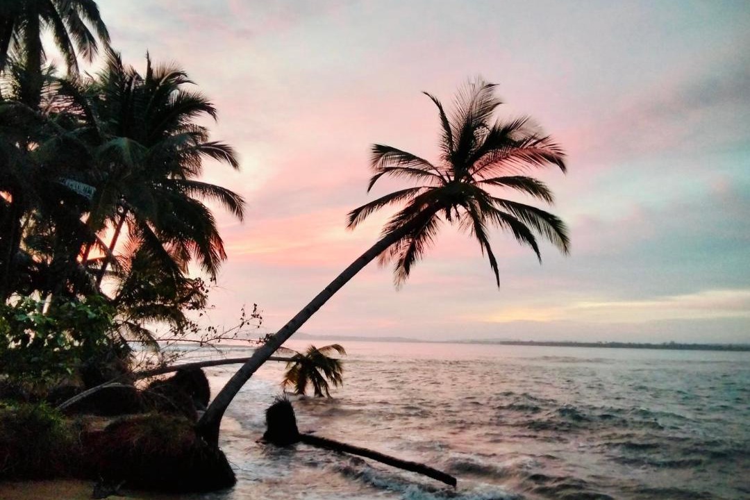 Photo of Others in Pulau Masokut