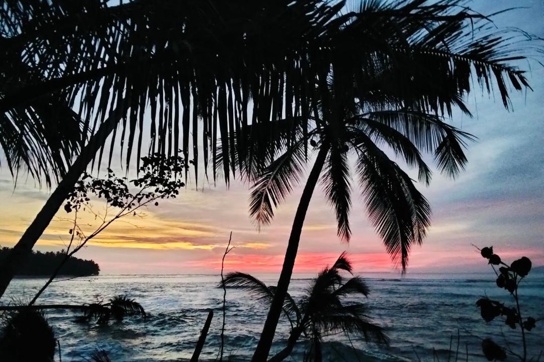 Photo of Others in Pulau Masokut