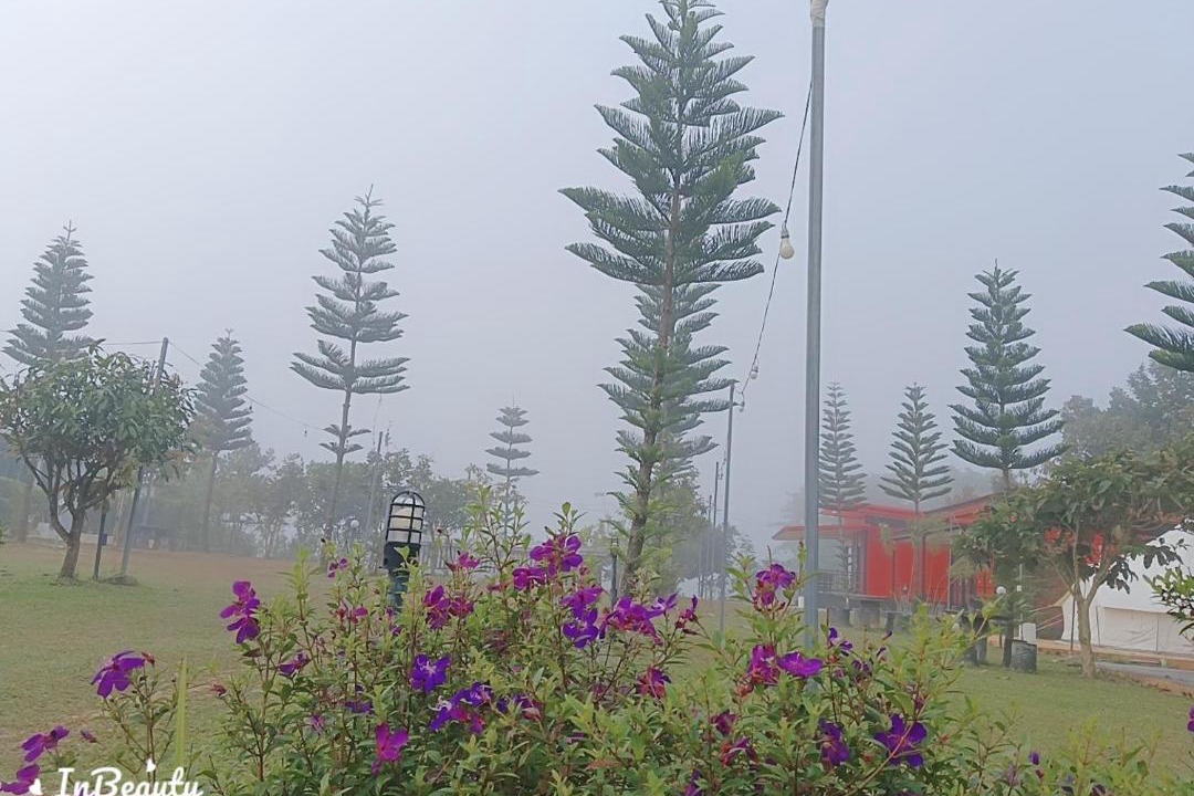 Photo of Others in Khao Kho