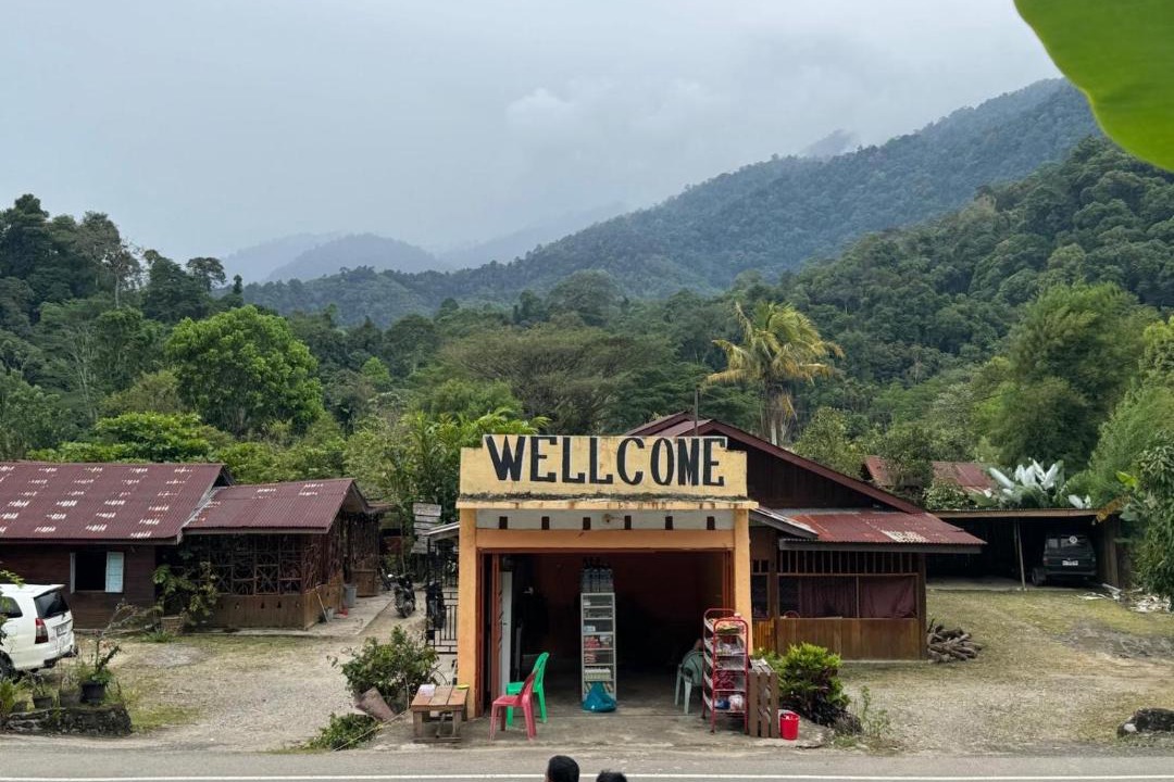 Photo of Outdoor in Ketambe