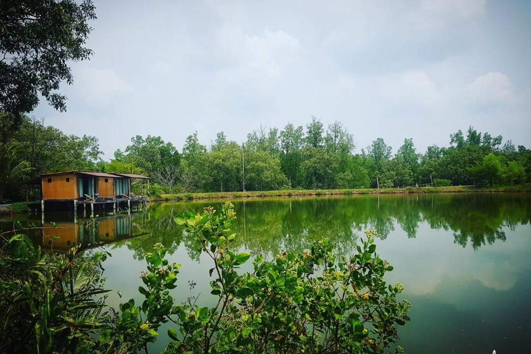 Photo of Others in Phangnga