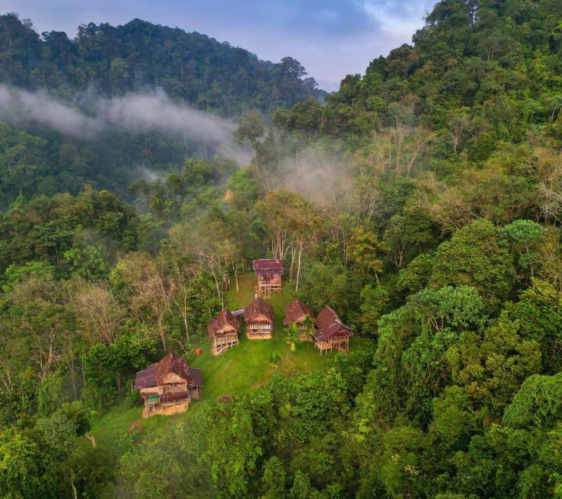 Photo of Others in Bukit Lawang
