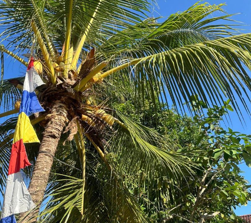Photo of Others in Batu Karas