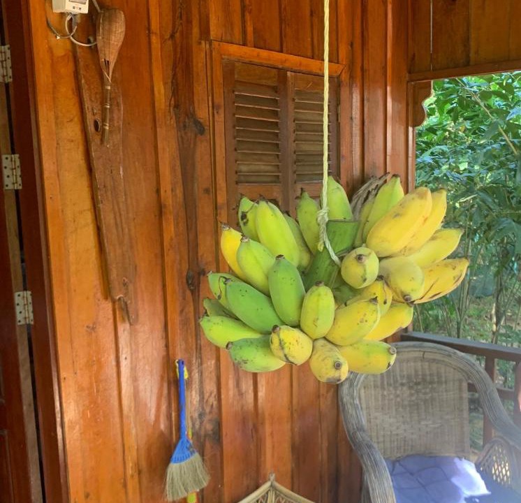 Photo of Others in Koh Rong Sanloem
