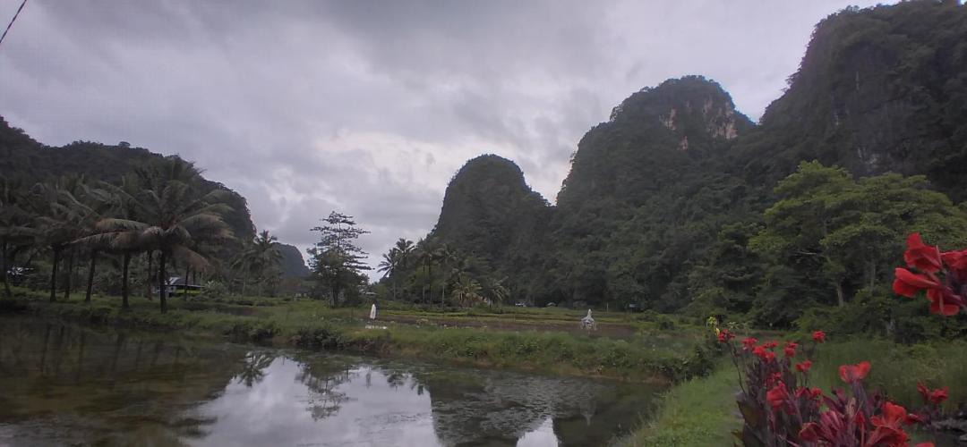 Photo of Others in Bantimurung