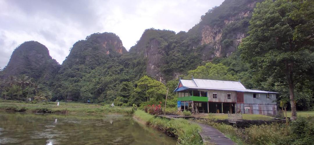 Photo of Others in Bantimurung