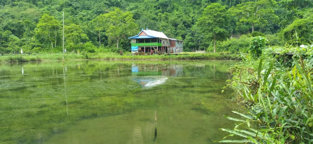 Photo of Others in Bantimurung