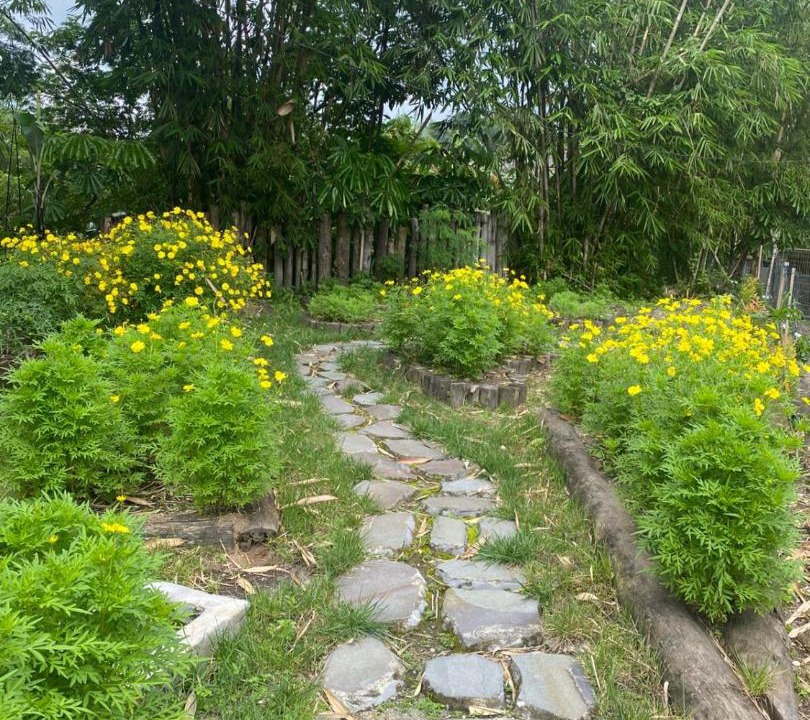 Photo of Outdoor in Pakem