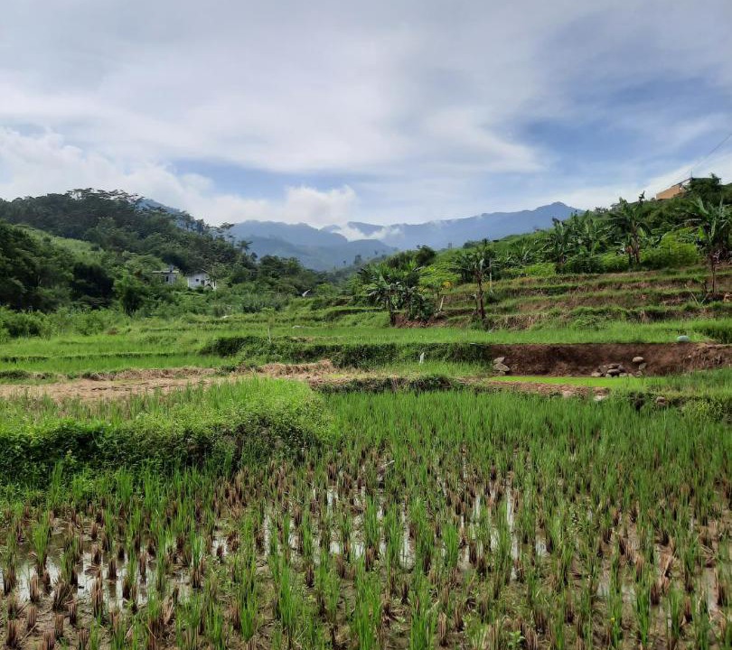 Photo of Others in Pancawati