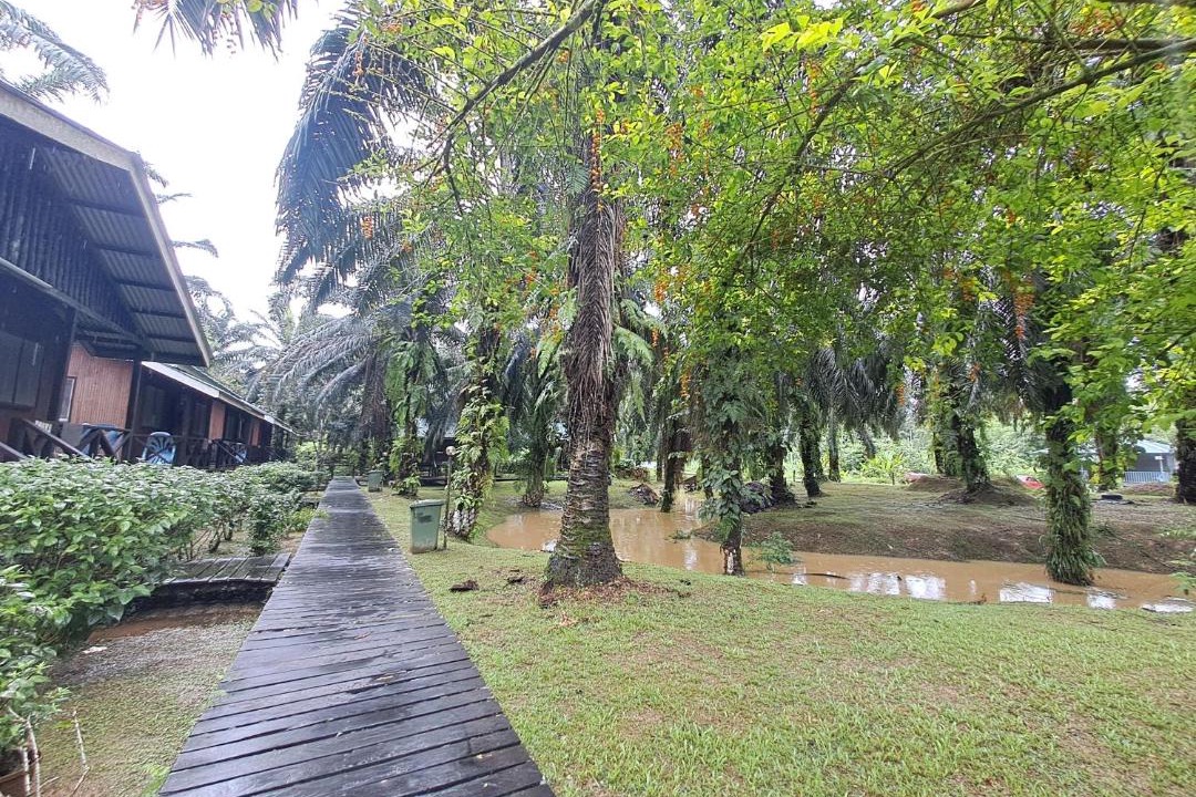 Photo of Others in Sukau