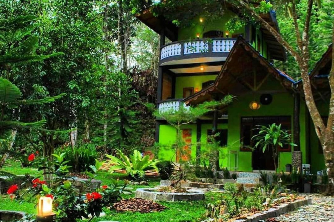 Photo of Others in Bukit Lawang