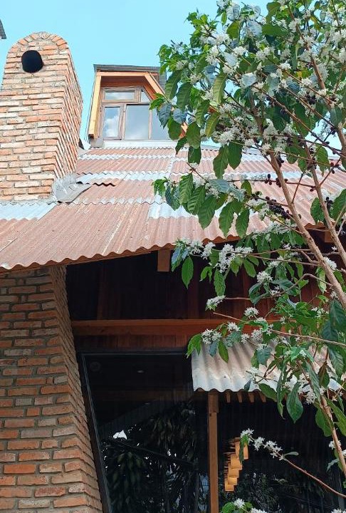 Photo of Others in Da Lat