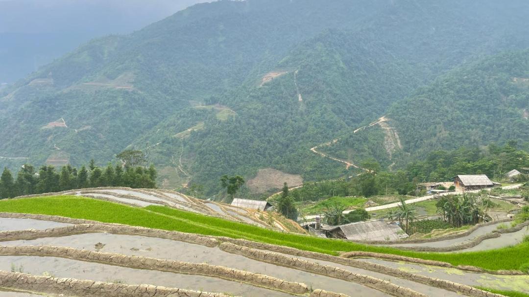 Photo of Others in Sa Pa
