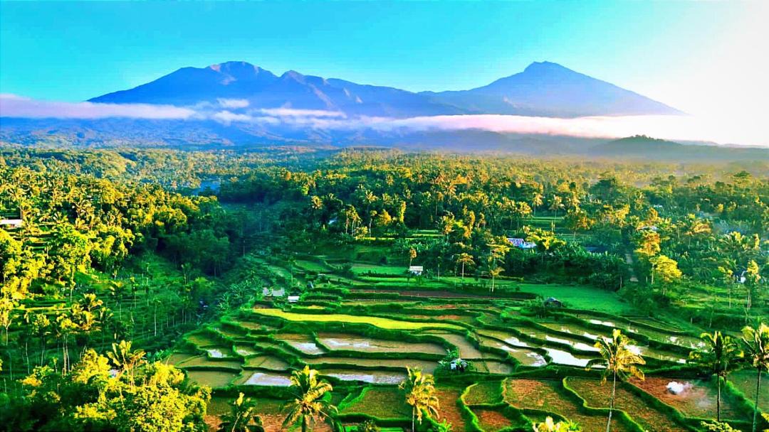Photo of Others in Tetebatu