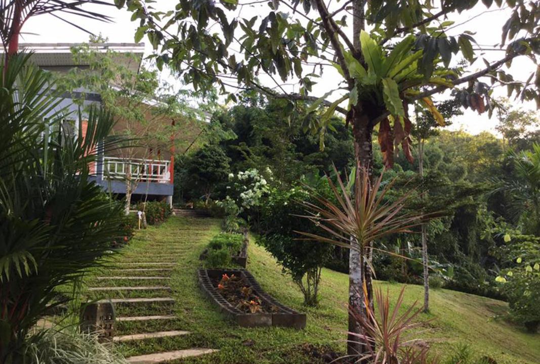 Photo of Others in Takua Thung