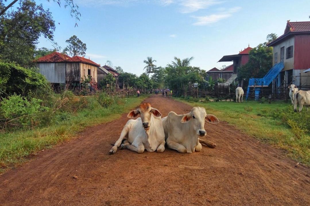 Photo of Others in Tboung Khmum