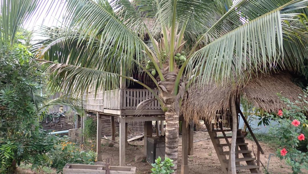 Photo of Others in Tboung Khmum