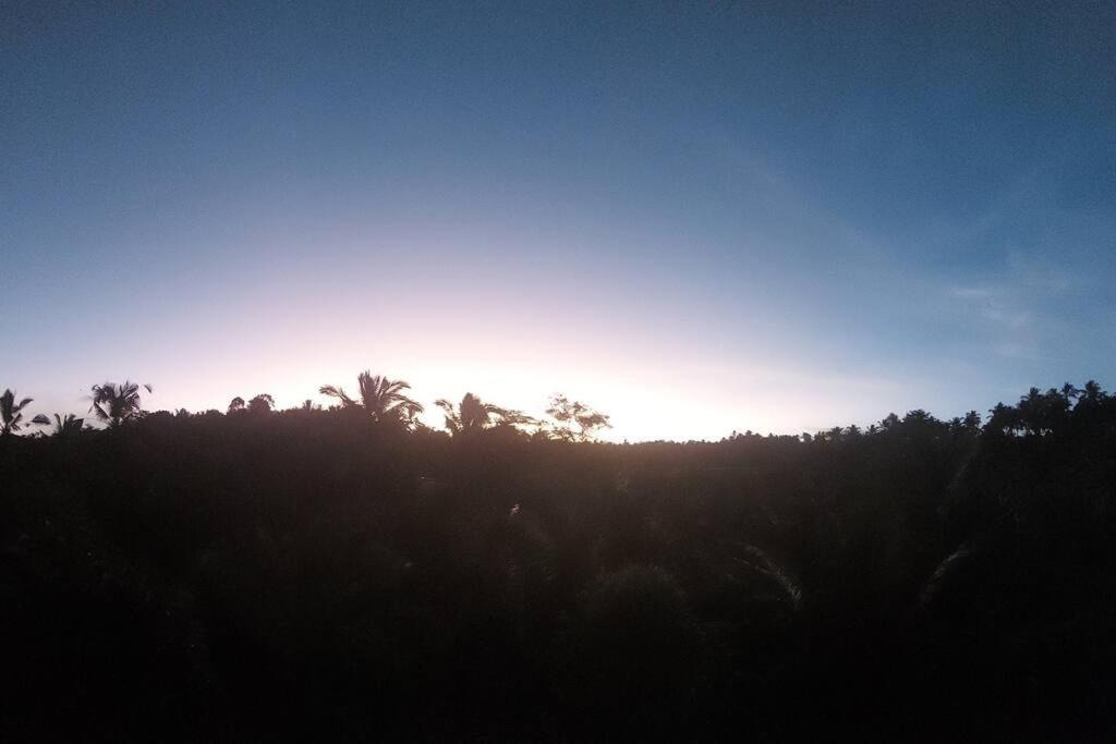Photo of Others in East Selemadeg