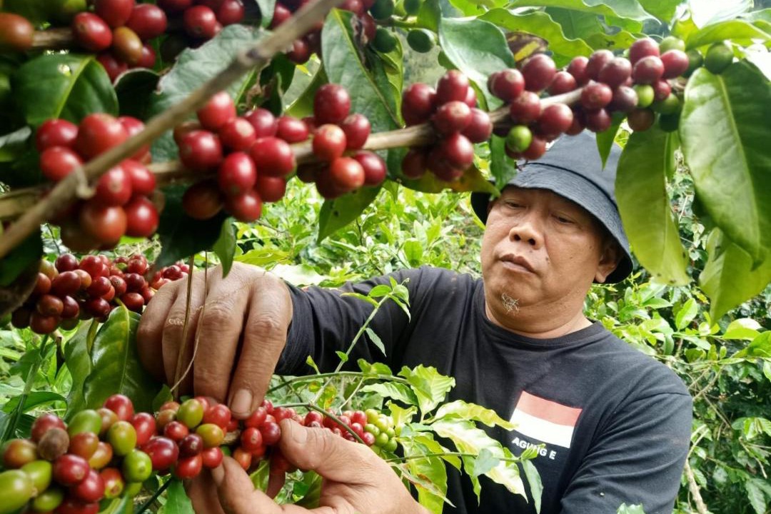 Photo of Others in Plaosan