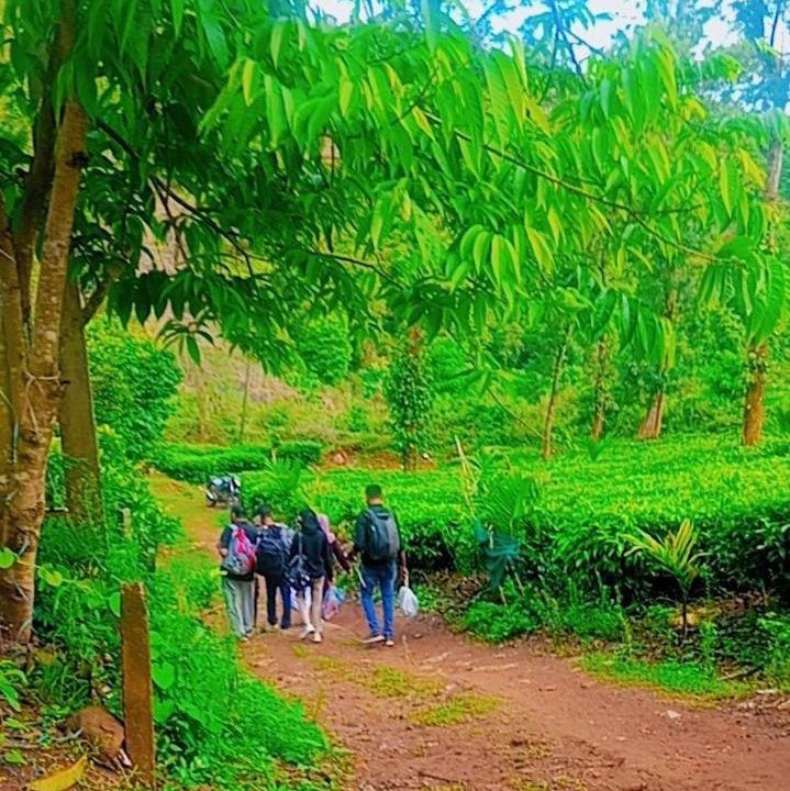 Photo of Others in Kottappadi part