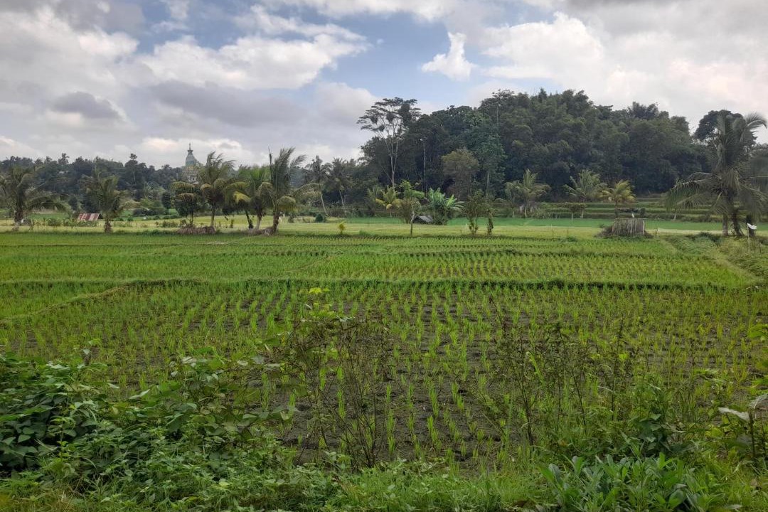 Photo of Others in Batukliang