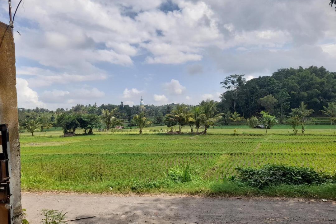Photo of Others in Batukliang