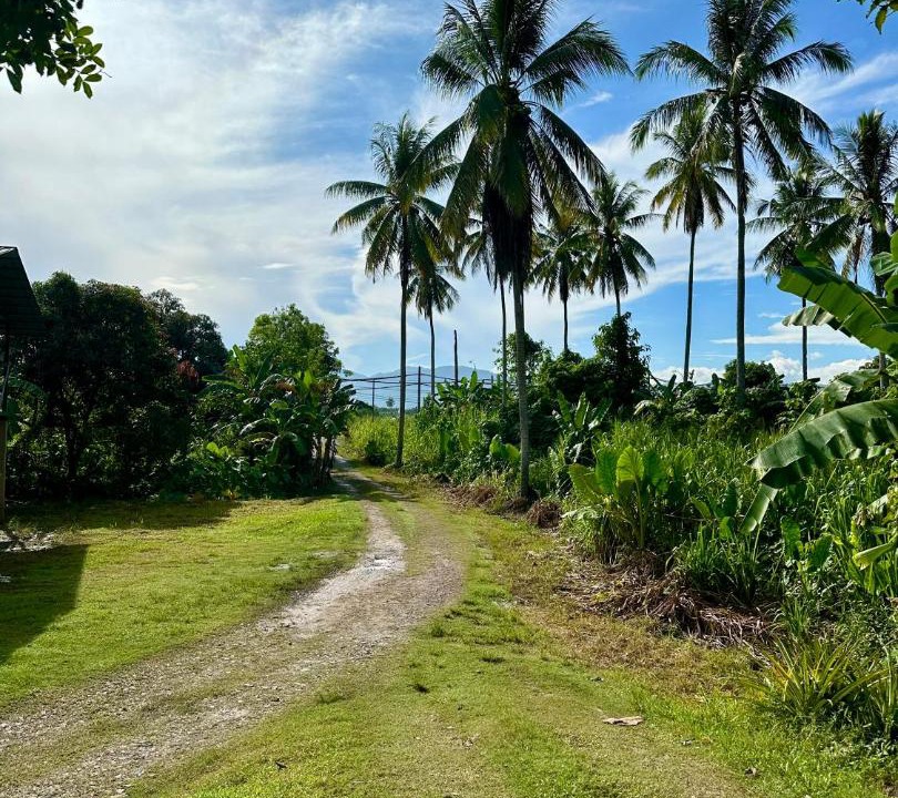 Photo of Others in Kota Marudu