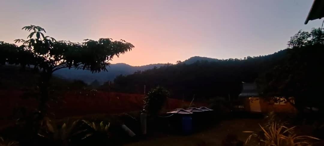 Photo of Others in Larut