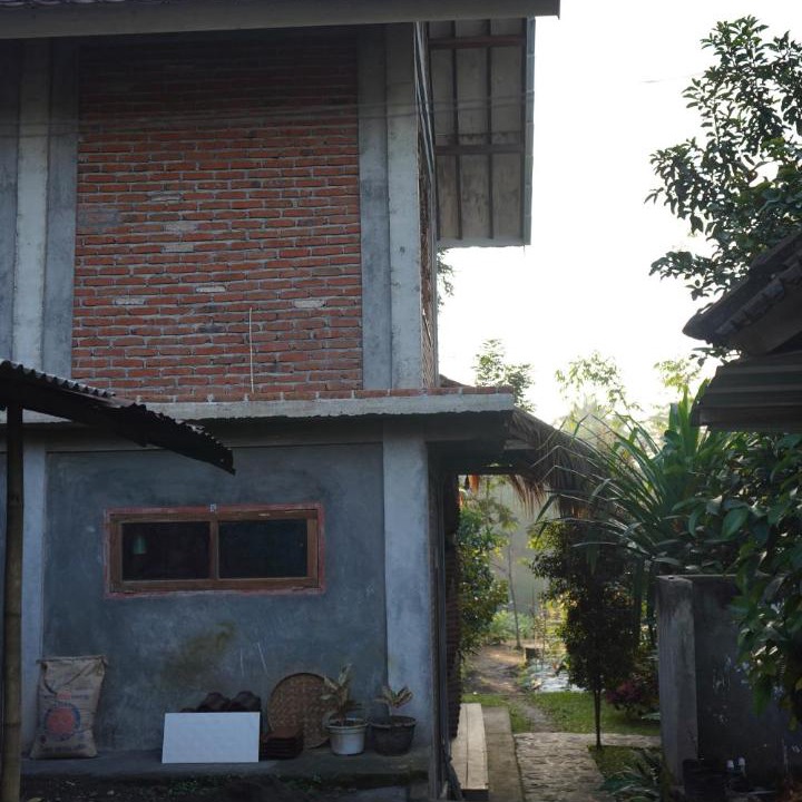 Photo of Others in Tetebatu