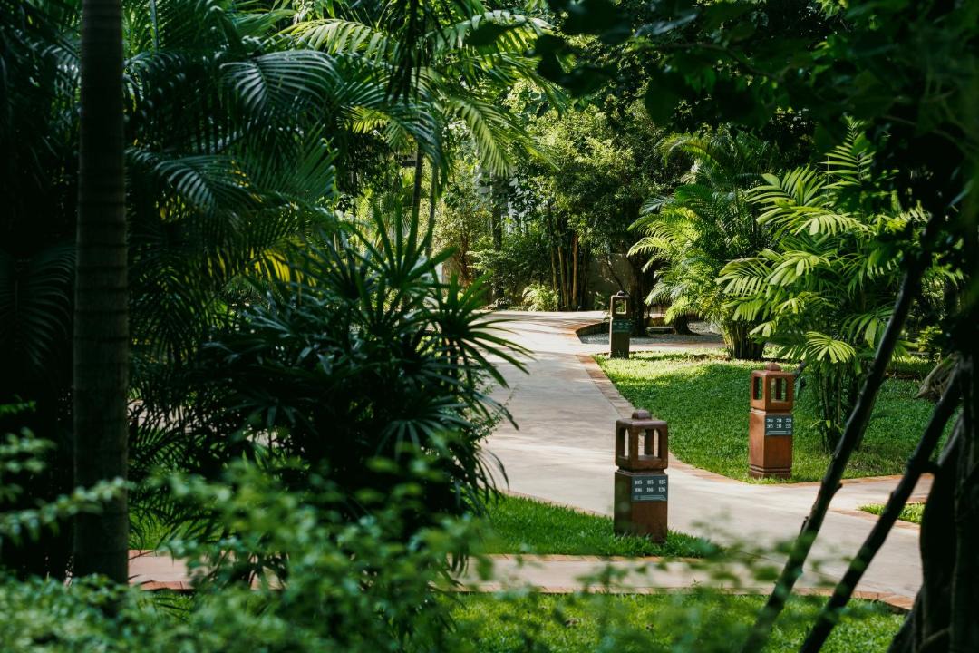 Photo of Others in Siem Reap