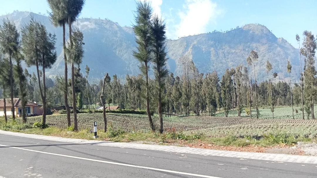 Photo of Outdoor in Ngadisari