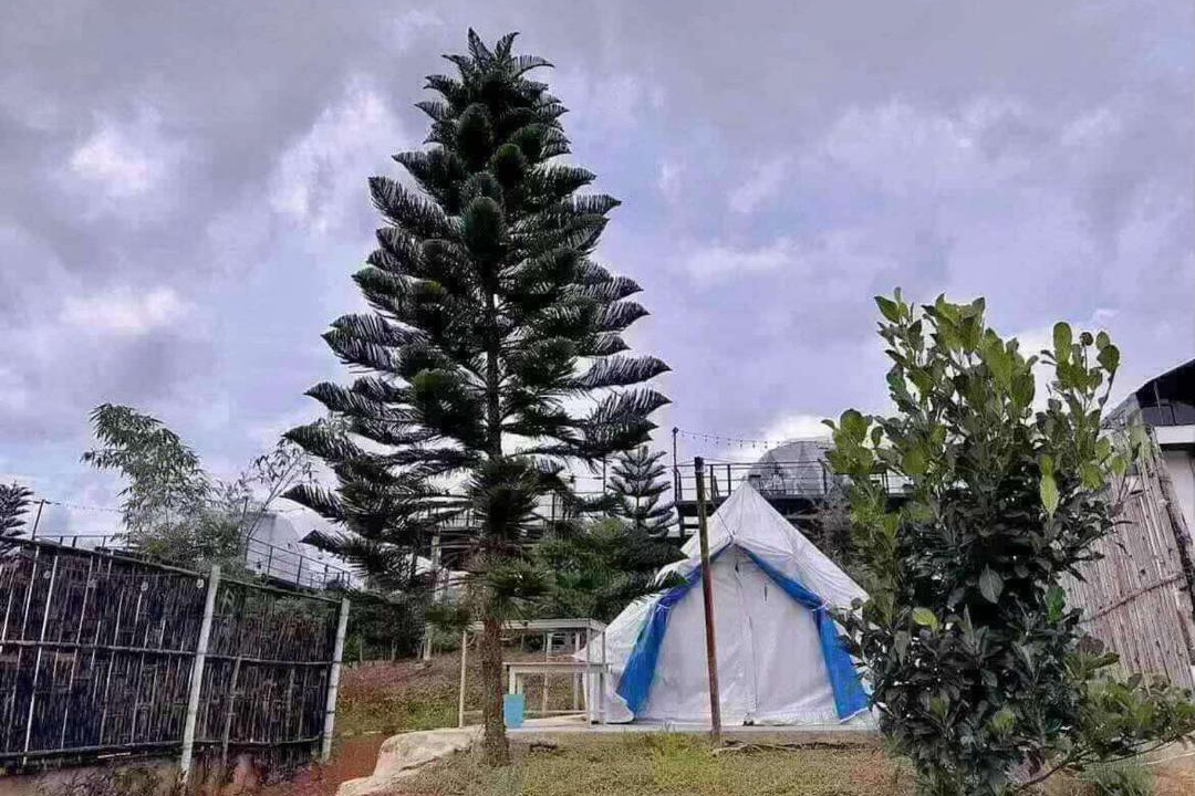 Photo of Others in Khao Kho