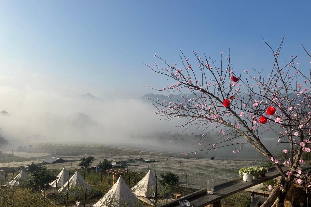 Photo of Others in Moc Chau