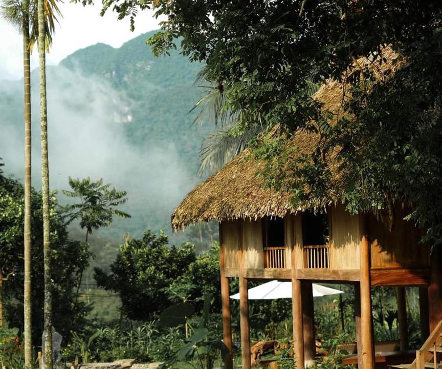 Photo of Others in Pu Long Nature Reserve