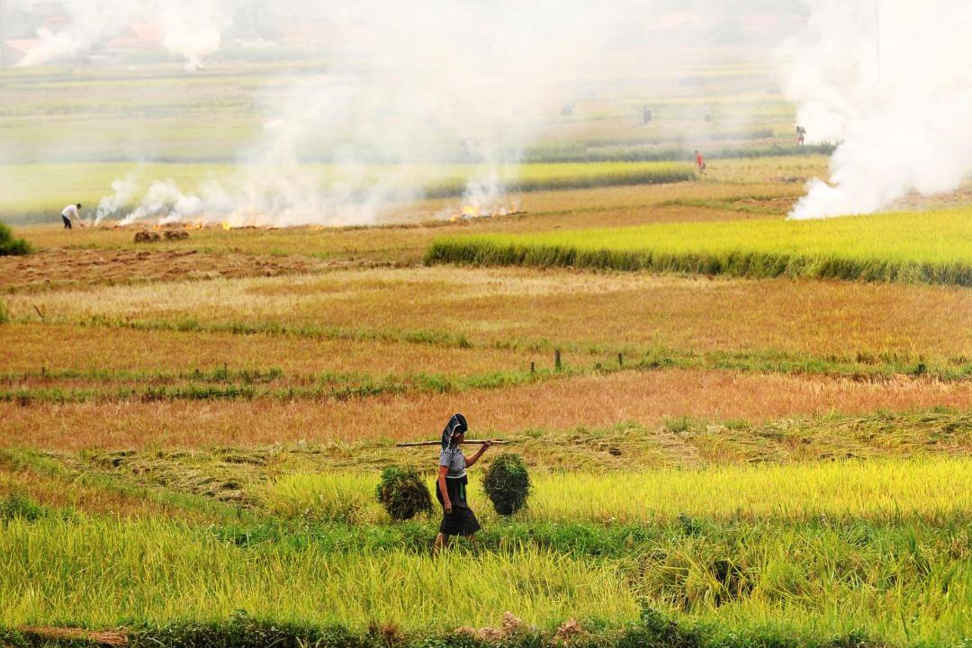 Photo of Human In Picture in Pu Long Nature Reserve